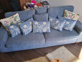 3 Month Old Sofa
