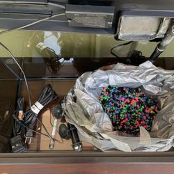 10 gallon aquarium