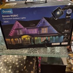 Govee outdoor lights