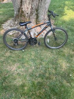 24” mountain bike