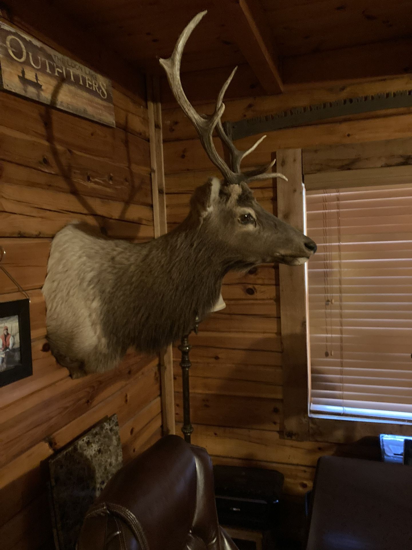 Elk Mount