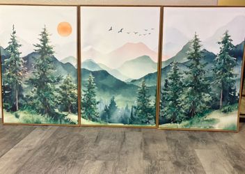 Brand new 3 piece framed canvas print