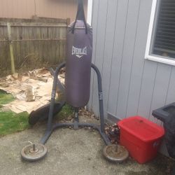 Everlast Punching Bag
