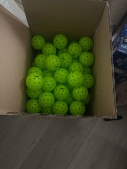 Lifetime Pickleballs