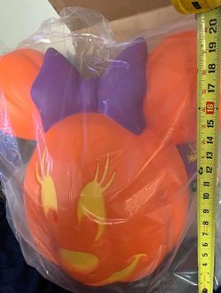 Disney Minnie Mouse and Mickey Mouse Halloween
