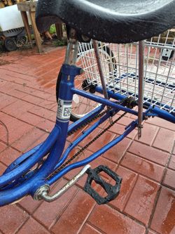 Adult Tricycle Blue
