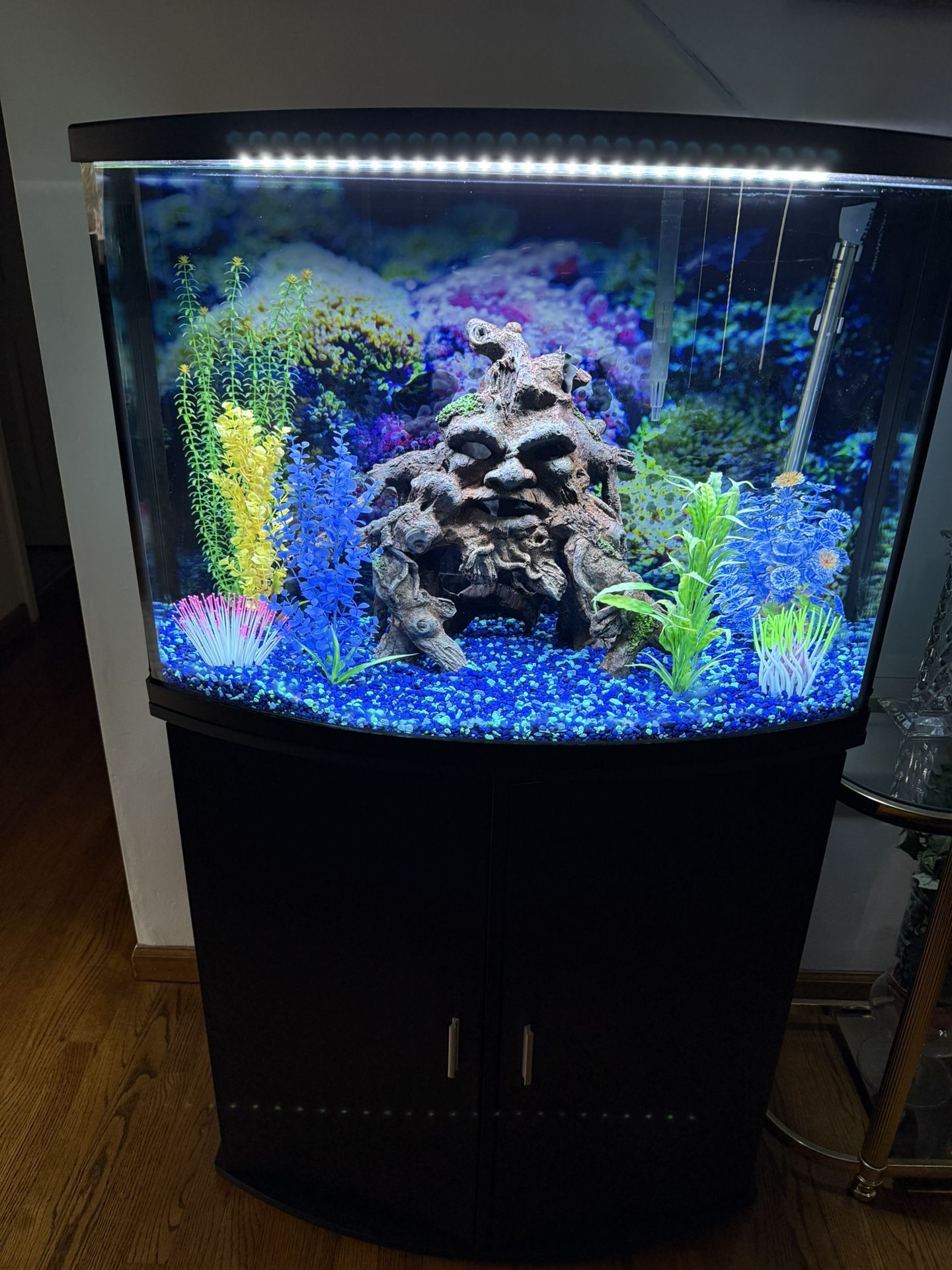 36 Gallon Fish Tank
