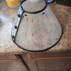 Dog Cone For Medium Sized Dog