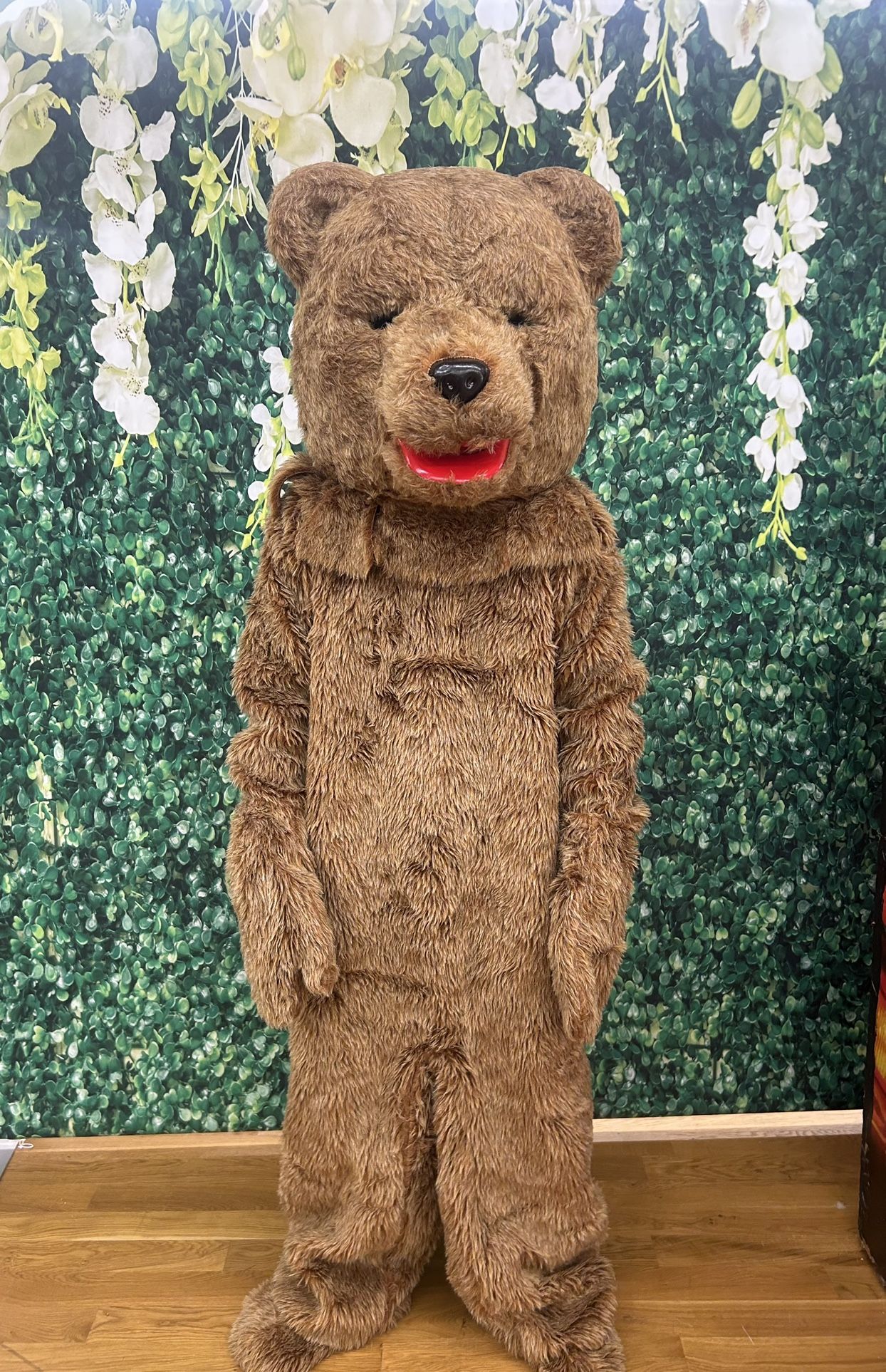 Bear Costume Character