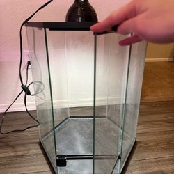 Large Hexagon Reptile Tank With Dome Light