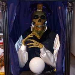 Rare Skeleton Fortune Teller Hyde And Eek!