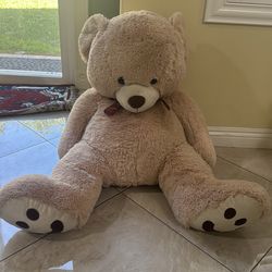Life size teddy bear ready to go to a loving home !