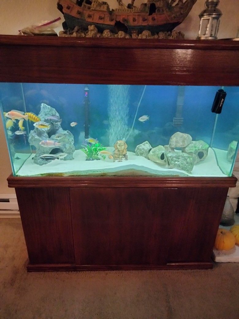 75 Gallon Fish Tank W/ Hood And Stand