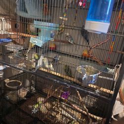 Vendo Jaula De Pájaros 🐦  En Buenas Condiciones 