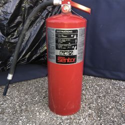 SENTRY Dry Chemical Hand Portable Extinguishers, Class ABC Fires, 20 lb Cap. Wt.