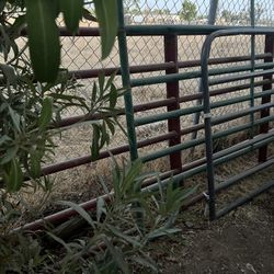Livestock Gates