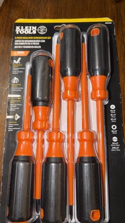 Juego de Screwdriver de 6 pz