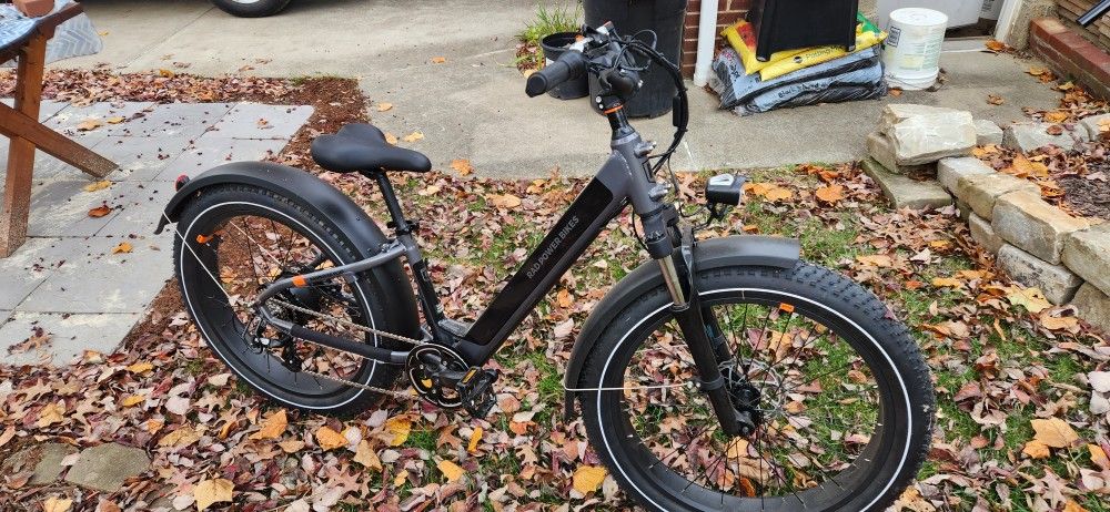 Electric Bike