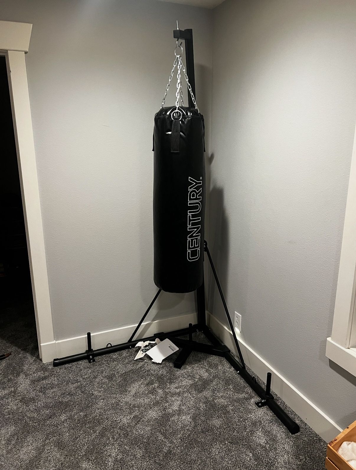 Century Punching Bag (Includes Stand & Weights)