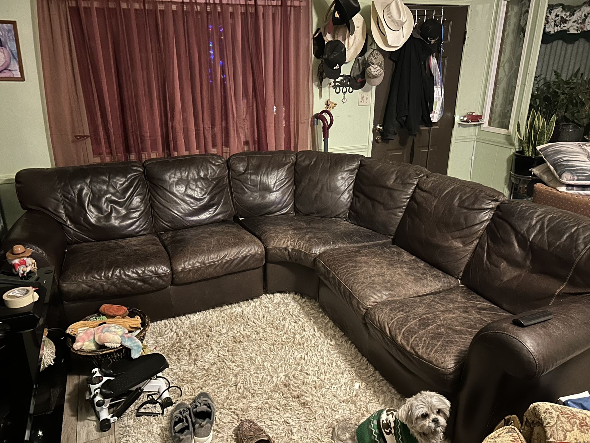 Leather Couches 
