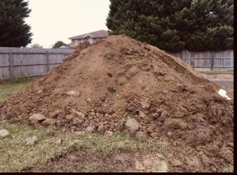 Free clean dirt free delivery