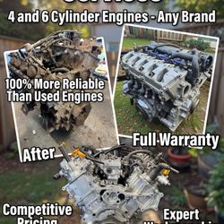 ENGINE REBUILTER PROFESSIONAL 