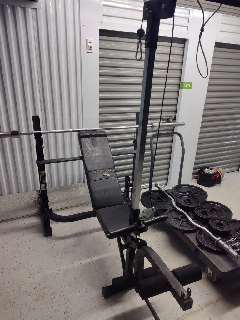 PHONEIX WEIGHT BENCH & RACK W/ 300 LB OLYMPIC WEIGHT SET
( EXCELLENT CONDITION & DELIVERY AVAILABLE TODAY)
