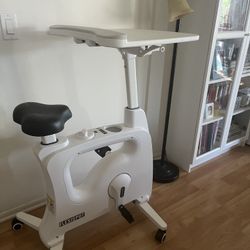 Flexispot Exercise Bike 
