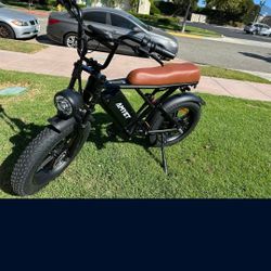Electric Bike