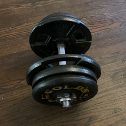 Dumbbells 60 Each Side 120 Total Adjustable