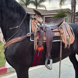 16 in Charro Saddle
