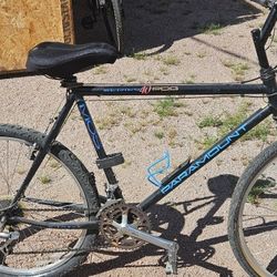 90's Schwinn Paramount Series