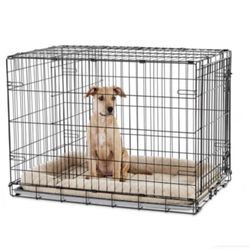 Dog Crate 