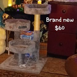 Brand New Cat Condo