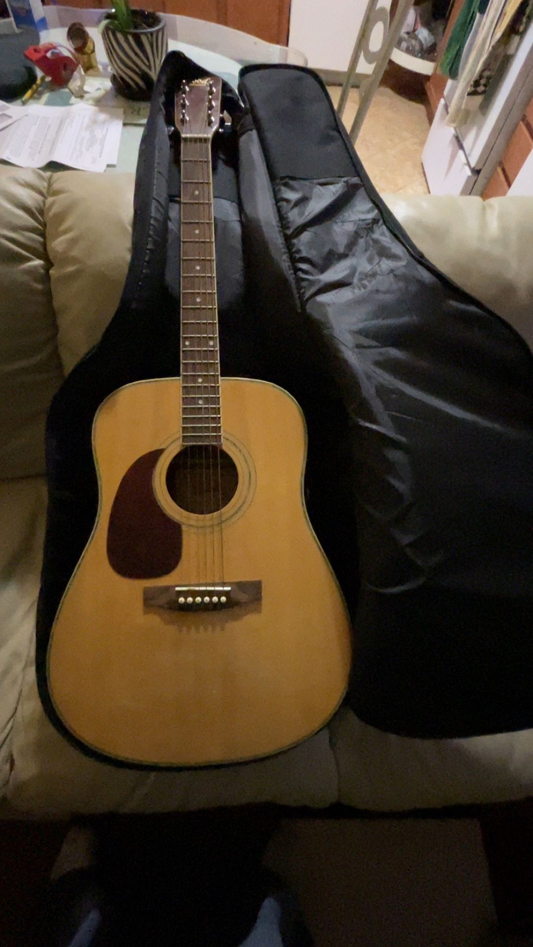 Guitar