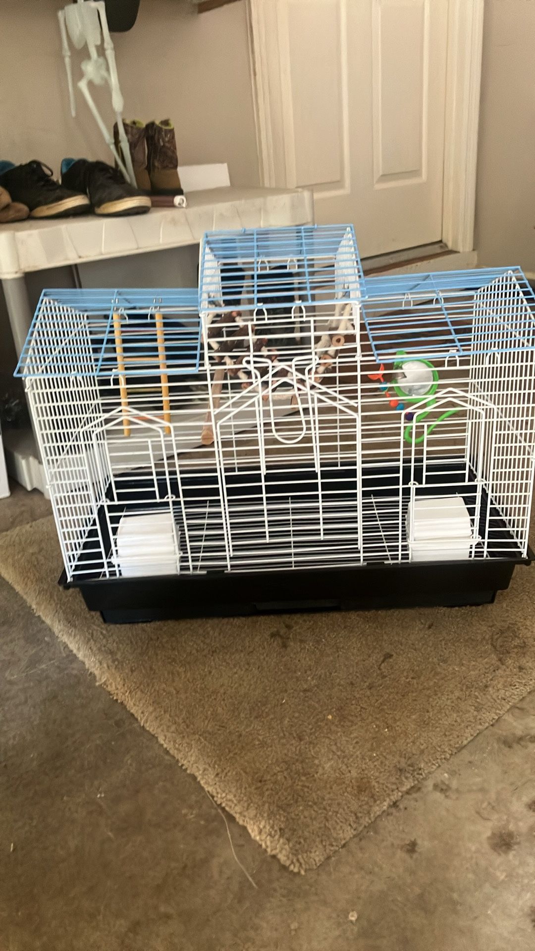 Bird Cage & Toys