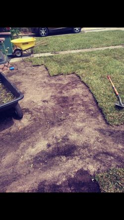 Need Sod ?