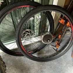 Bike Tires 