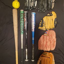 Baseball Bats and Baseball mitts
