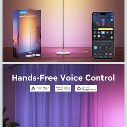 Govee RGBIC Floor Lamp Basic, LED Corner Lamp Works with Alexa, 1000lm Modern Floor Lamp with Music Sync and 16 Million DIY Colors, Color Changing Sta