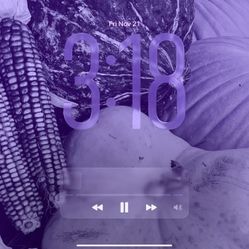 iPad Air w/Apple Pencil running AI and latest v. 26 release