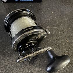 Penn Baja 113 HN Reel