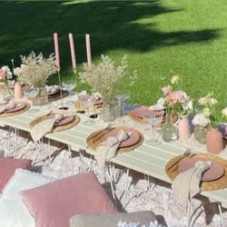 Picnic Setup 