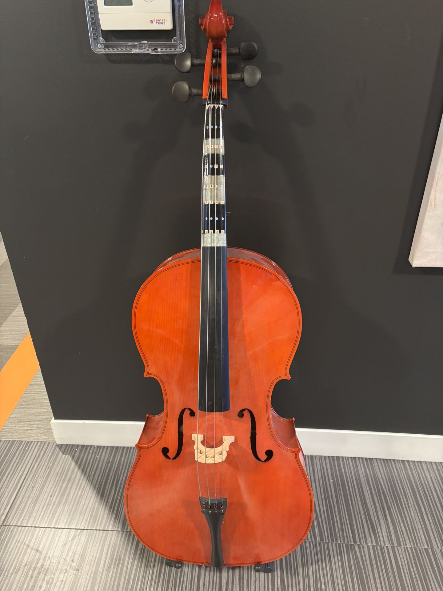 Student Cello Cecilio Cco-100