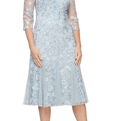 Alex Evenings Women's Tea Length Embroidered Dress Illusion Sleeves