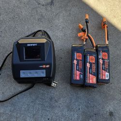Spektrum Smart Charger & 6s Lipos (x3)