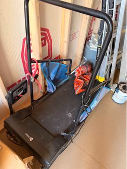 Dog treadmill