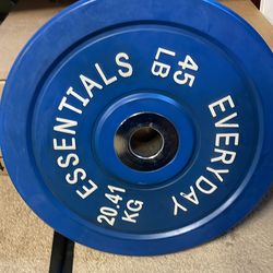 Pair of 45lb bumper plates