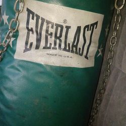 Everlast Mma/ Boxing Training Punching Bag