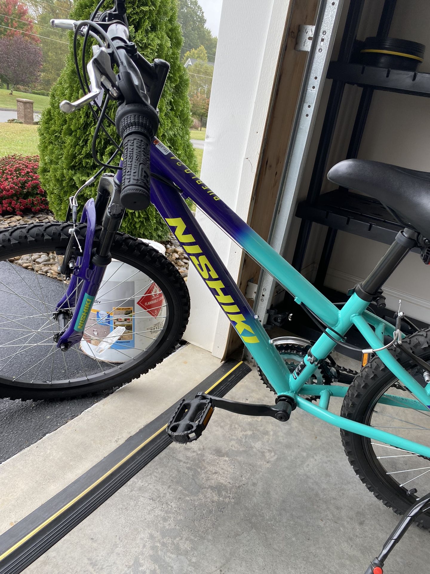 Womens Nishiki Bike